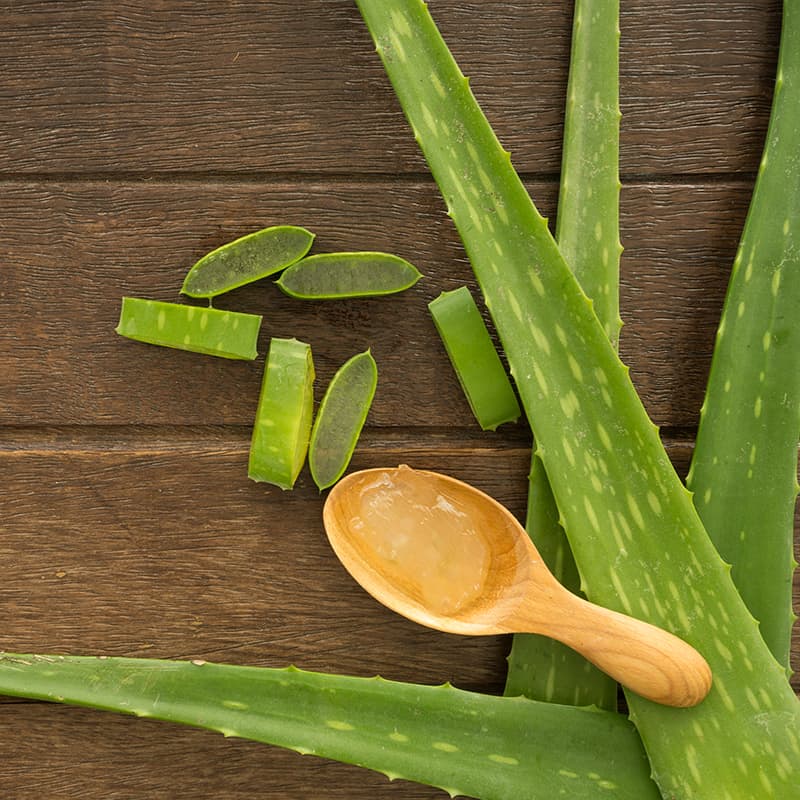 10 Aloe Vera Benefits That Will Boost Your Health