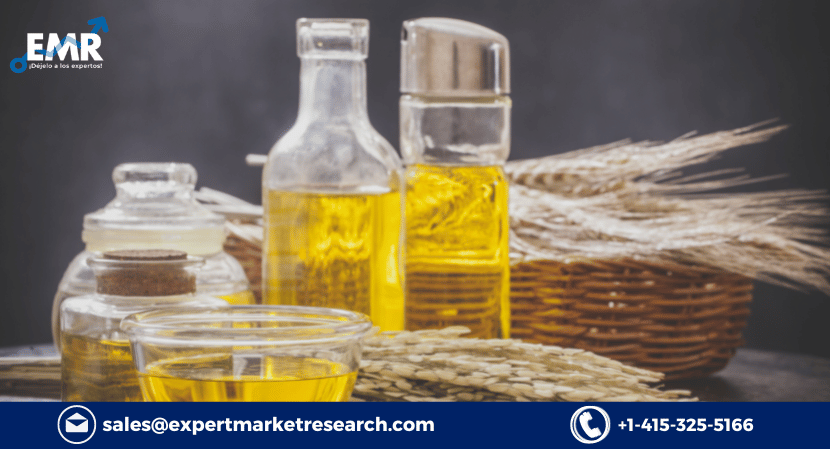 Global Rice Bran Oil Market Share, Size, Analysis, Trends, Growth, Report and Forecast Period Of 2023-2028