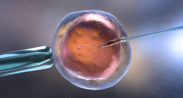 India is the most preferred country in the fertility segment, with the best IVF practices.