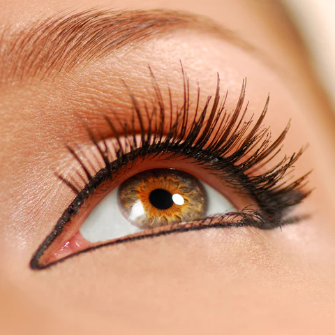 Careprost The Magic Bullet for Replacing Your Eyelashes