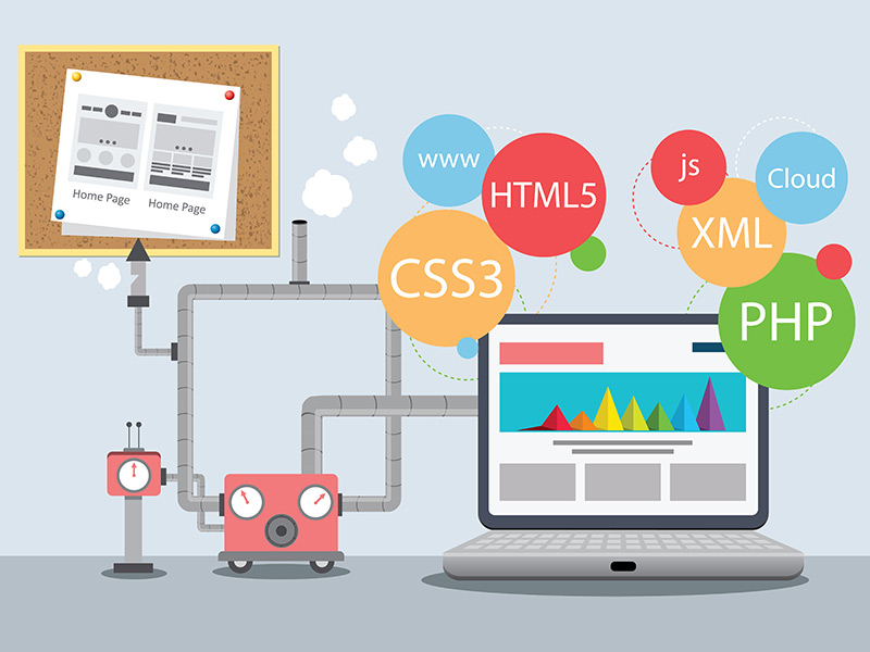 How To Choose The Best Web Development Company?
