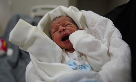 Gaza: UN companies make plea for worldwide motion to finish hospital assaults